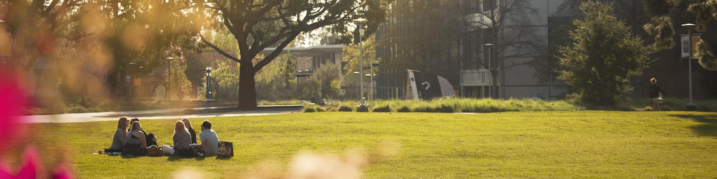 Students sitting outside on campus